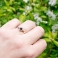 BLACK ROBIN Solitaire Ring